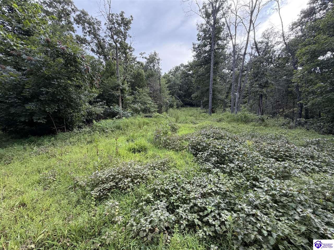 Tract G Sutzer Creek Road Property Photo 19
