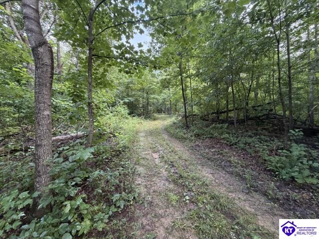 Tract G Sutzer Creek Road Property Photo 20