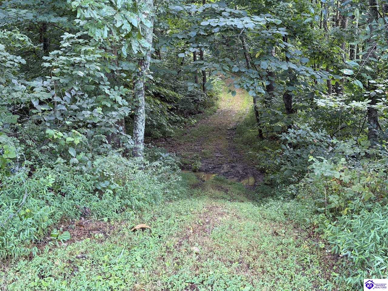Tract G Sutzer Creek Road Property Photo 21