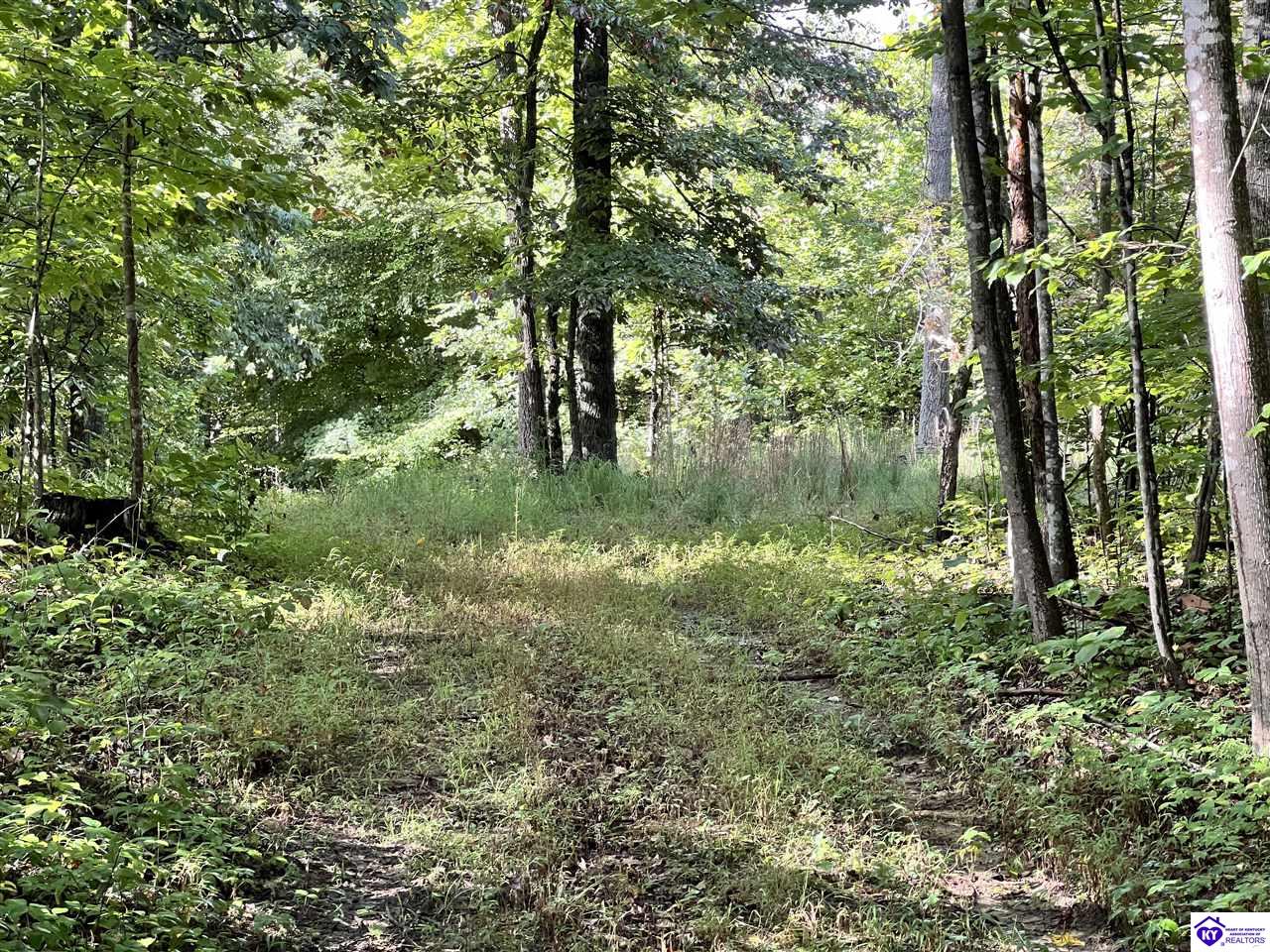 Tract G Sutzer Creek Road Property Photo 22