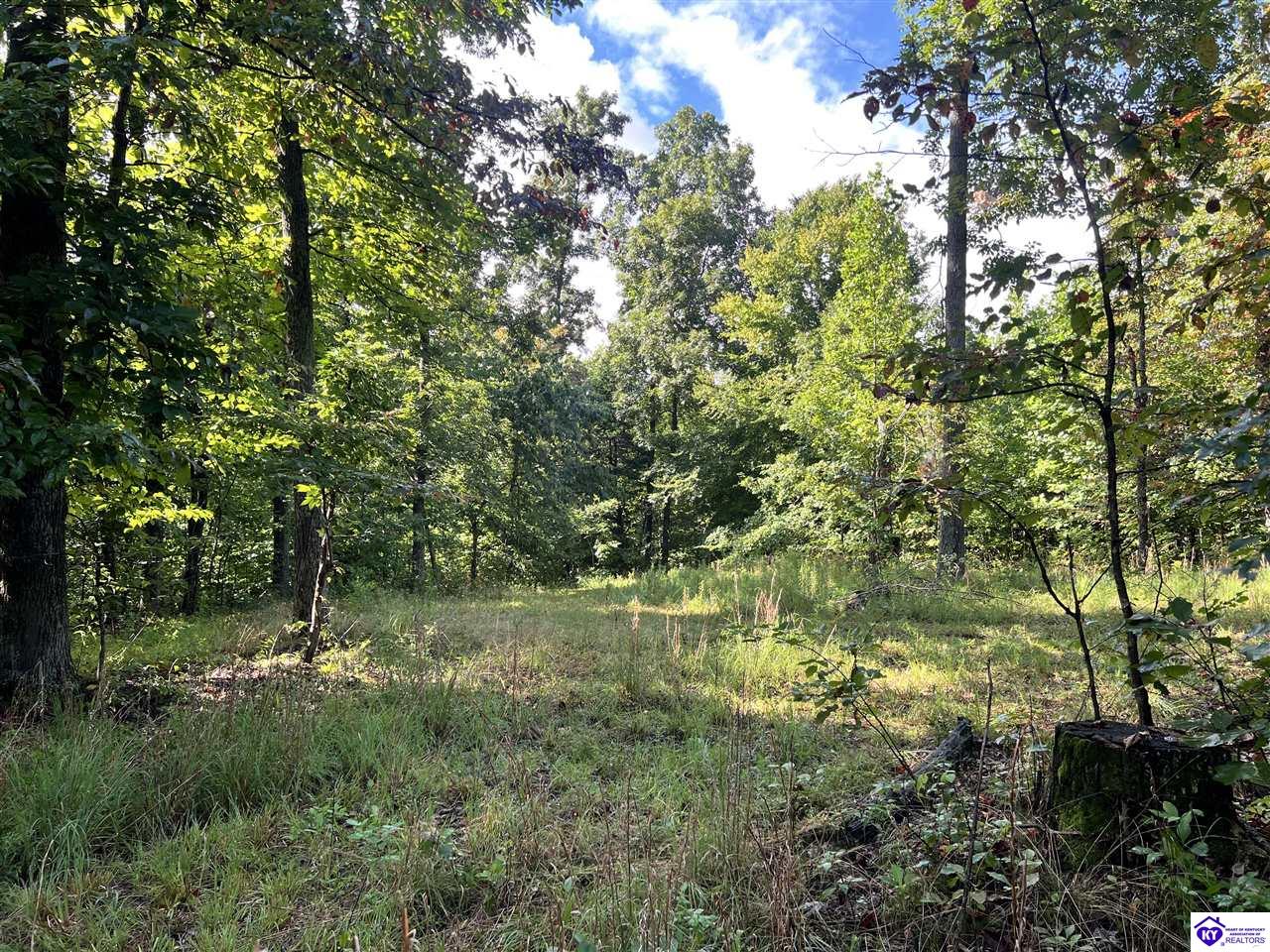 Tract G Sutzer Creek Road Property Photo 23