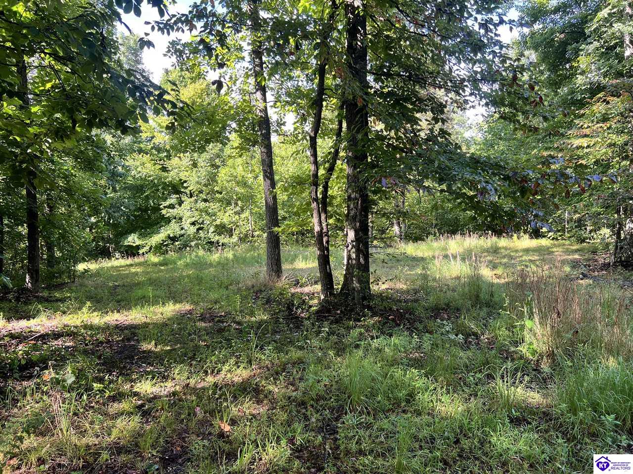Tract G Sutzer Creek Road Property Photo 24