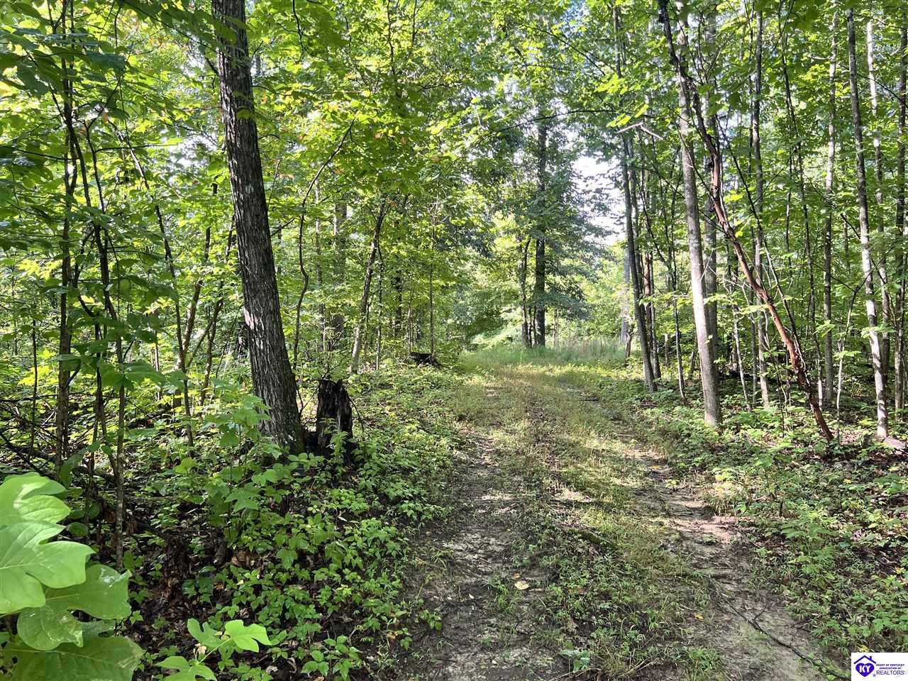 Tract G Sutzer Creek Road Property Photo 26