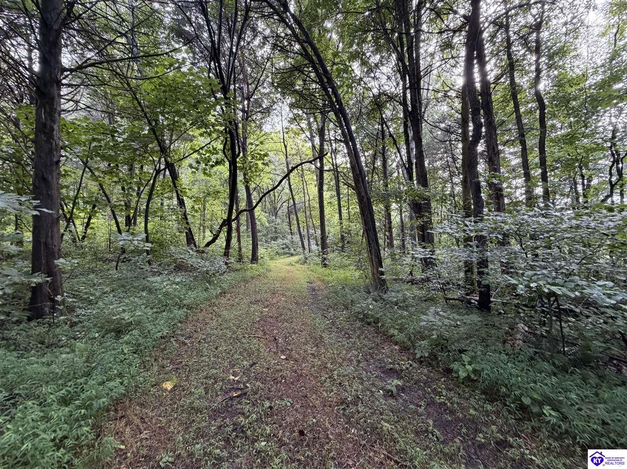 Tract G Sutzer Creek Road Property Photo 27
