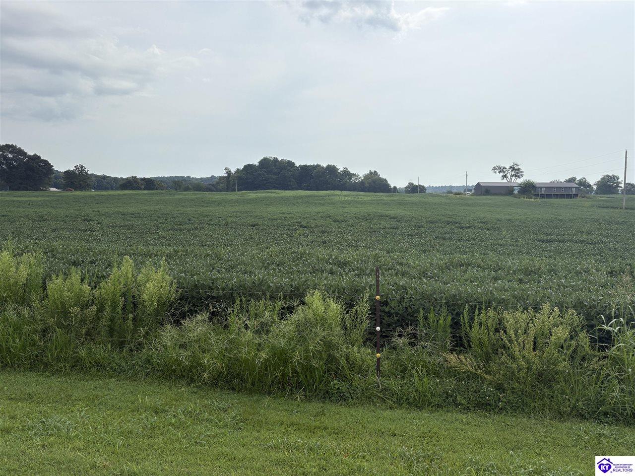 1800 Willetts Bottom Road Property Photo 10