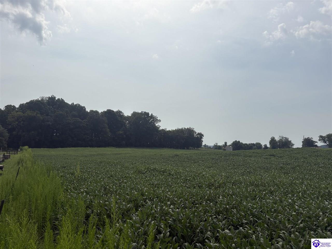 1800 Willetts Bottom Road Property Photo 11