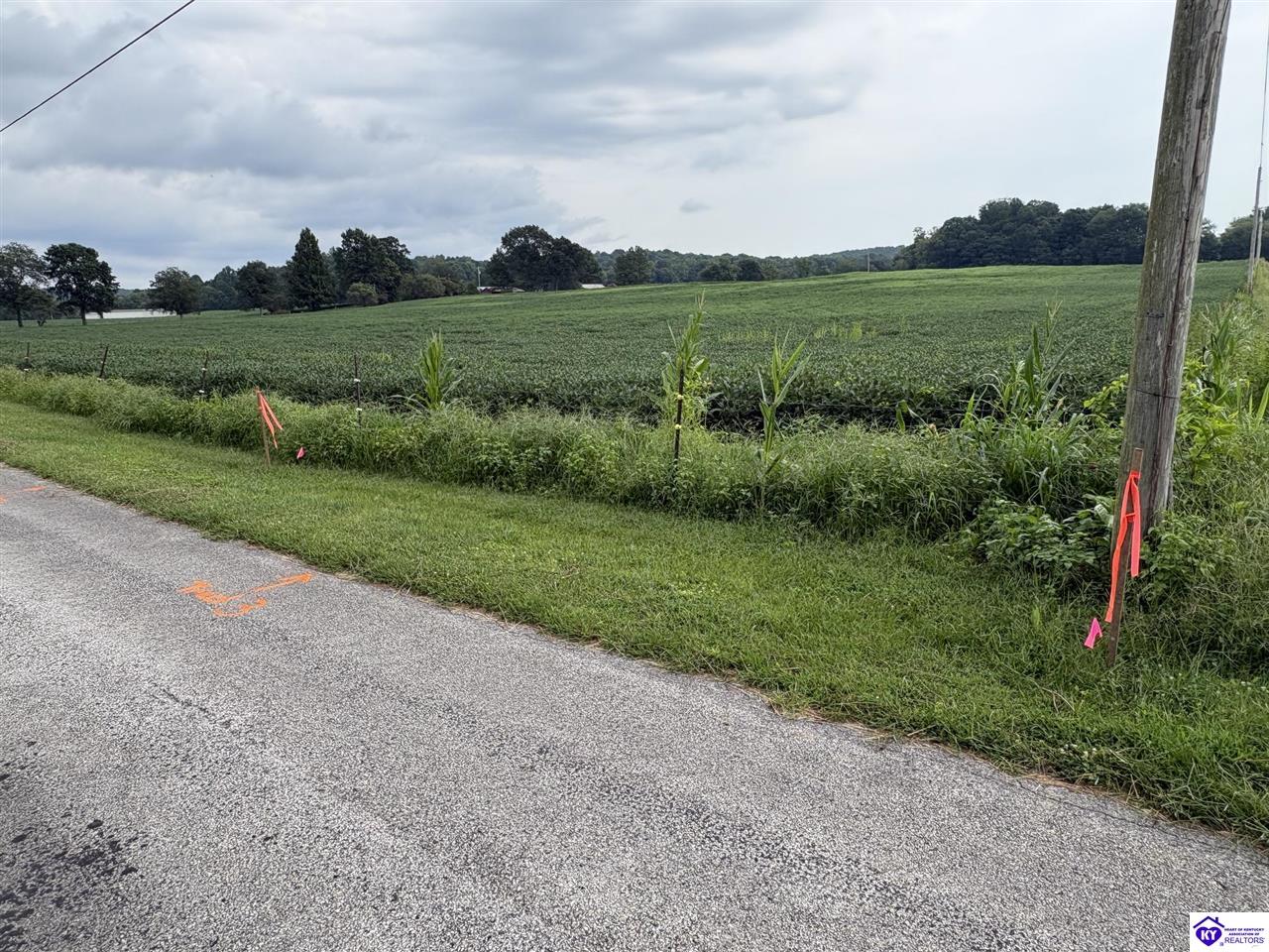 1820 Willetts Bottom Road Property Photo 4