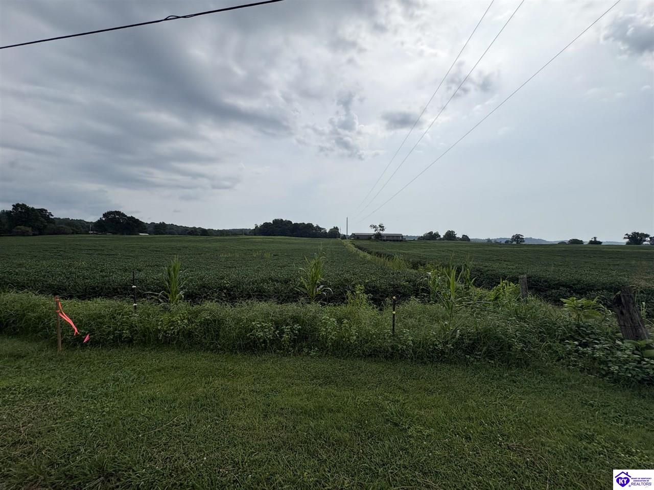 1820 Willetts Bottom Road Property Photo 6
