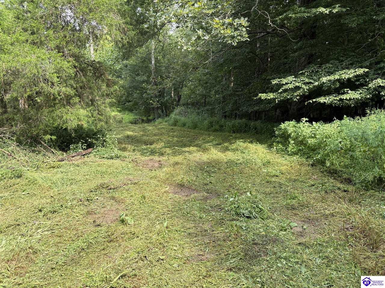 1820 Willetts Bottom Road Property Photo 7