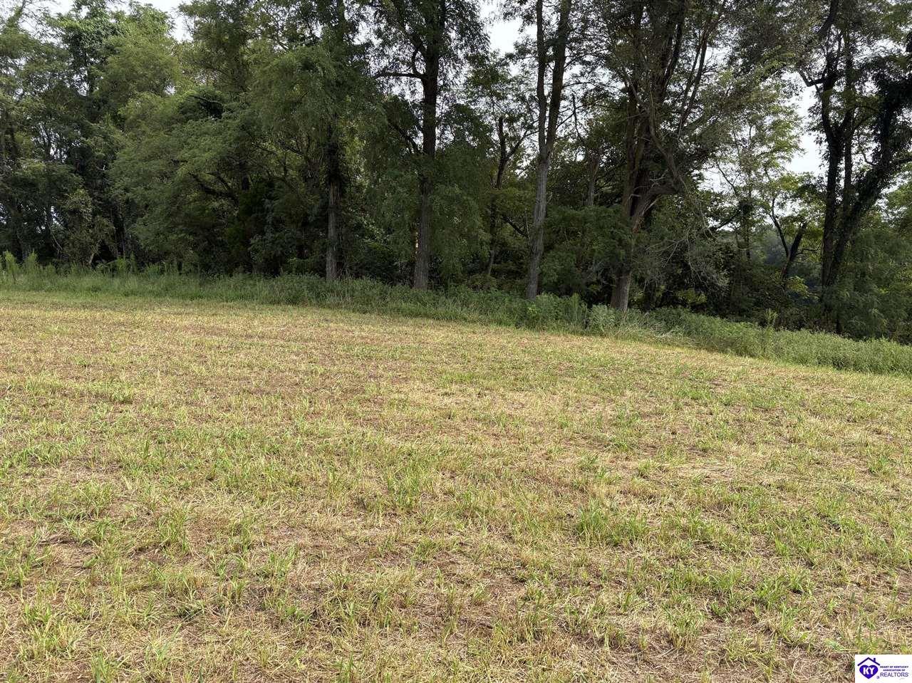 1820 Willetts Bottom Road Property Photo 9
