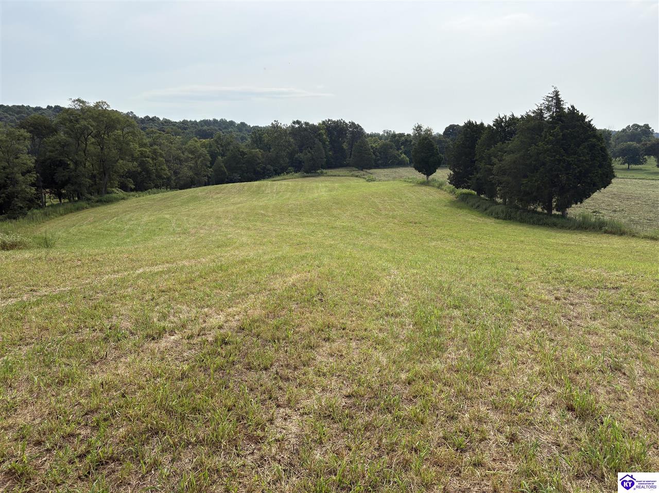 1820 Willetts Bottom Road Property Photo 10