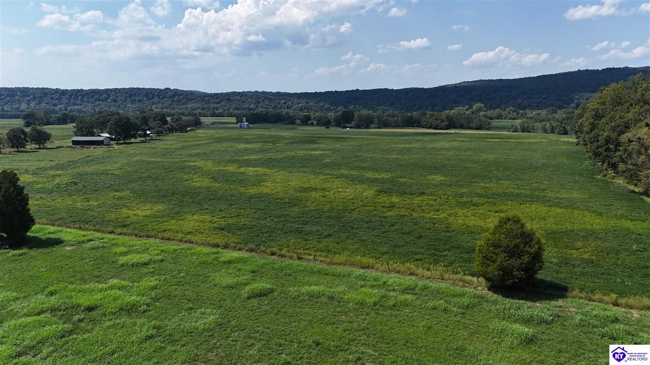 1900 Willetts Bottom Road Property Photo 5