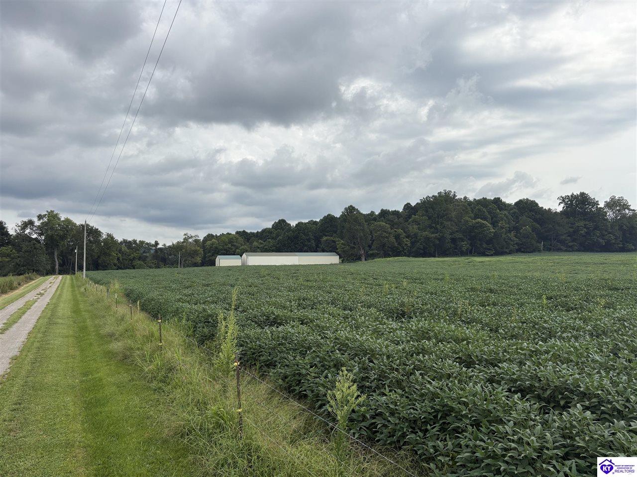 1900 Willetts Bottom Road Property Photo 11
