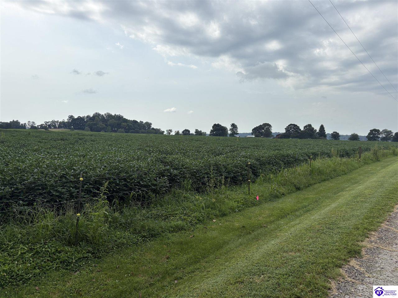 1900 Willetts Bottom Road Property Photo 13