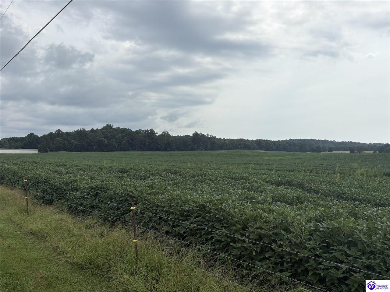 1900 Willetts Bottom Road Property Photo 15