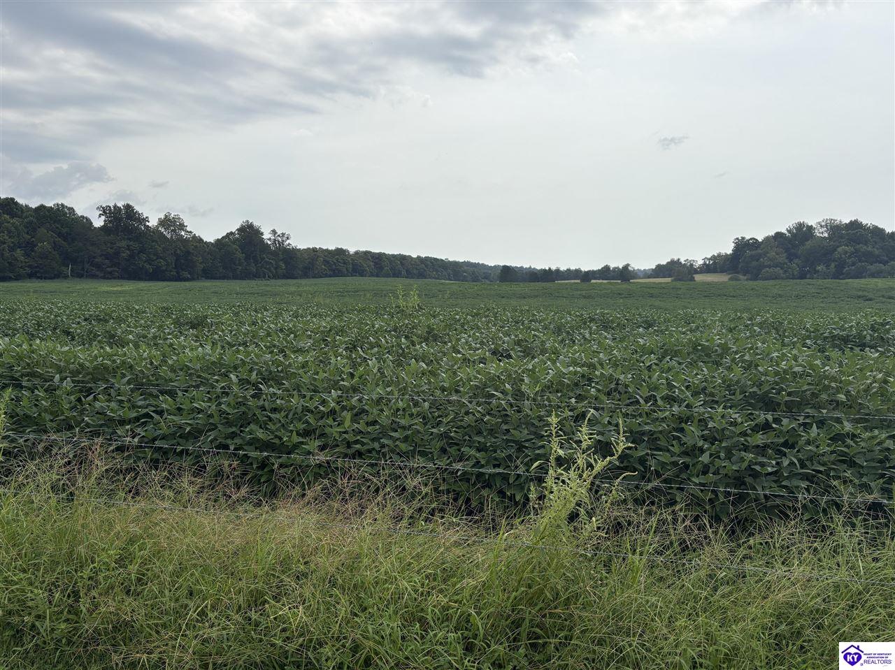 1900 Willetts Bottom Road Property Photo 16