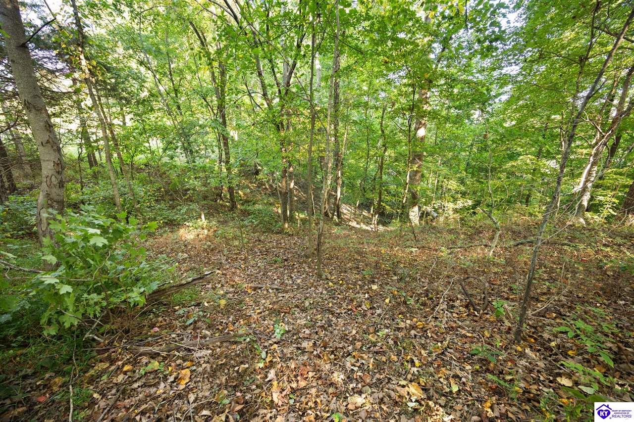 1185 Elliot Road Property Photo 33