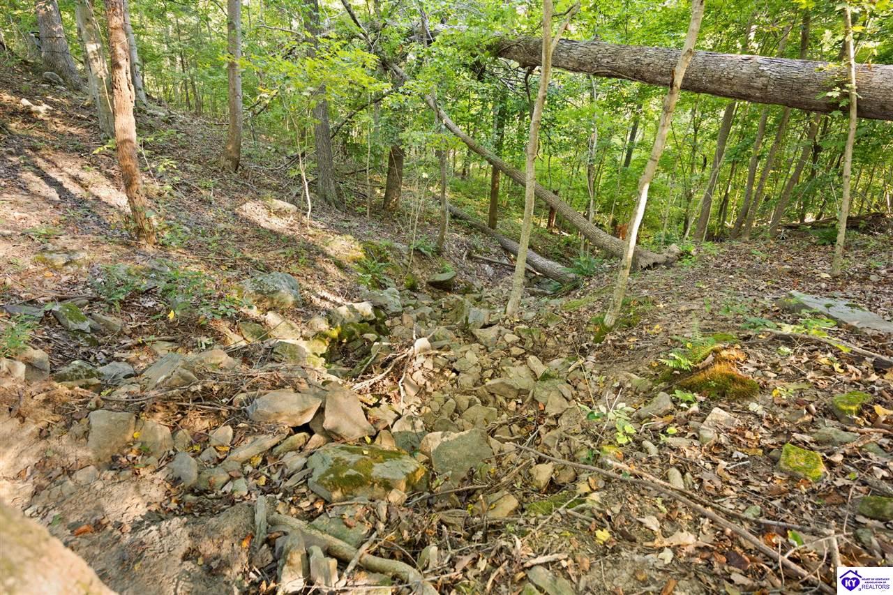 1185 Elliot Road Property Photo 34