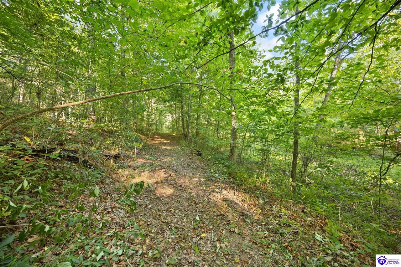 1185 Elliot Road Property Photo 37