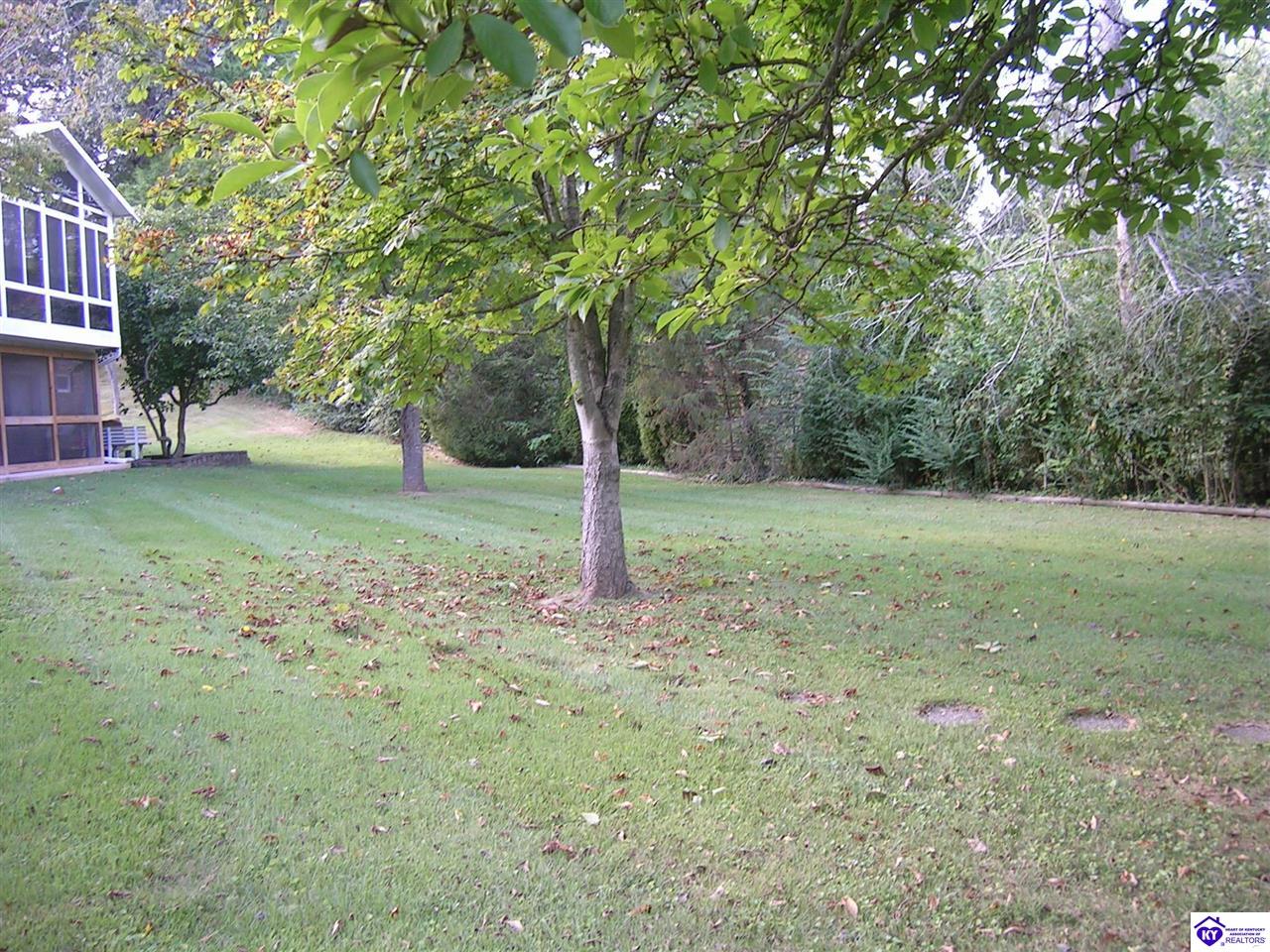 734 Cherrywood Drive Property Photo 9