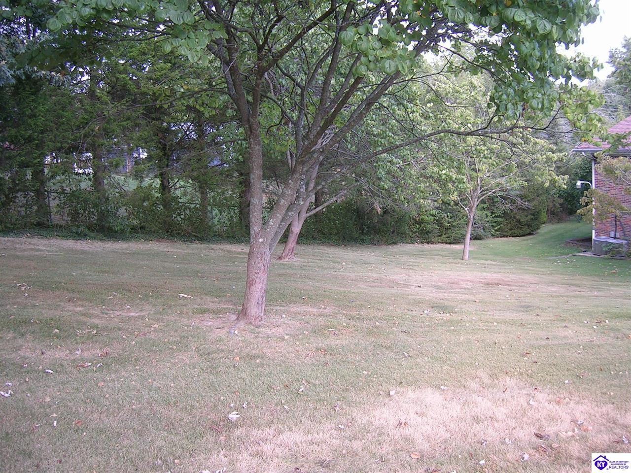734 Cherrywood Drive Property Photo 14