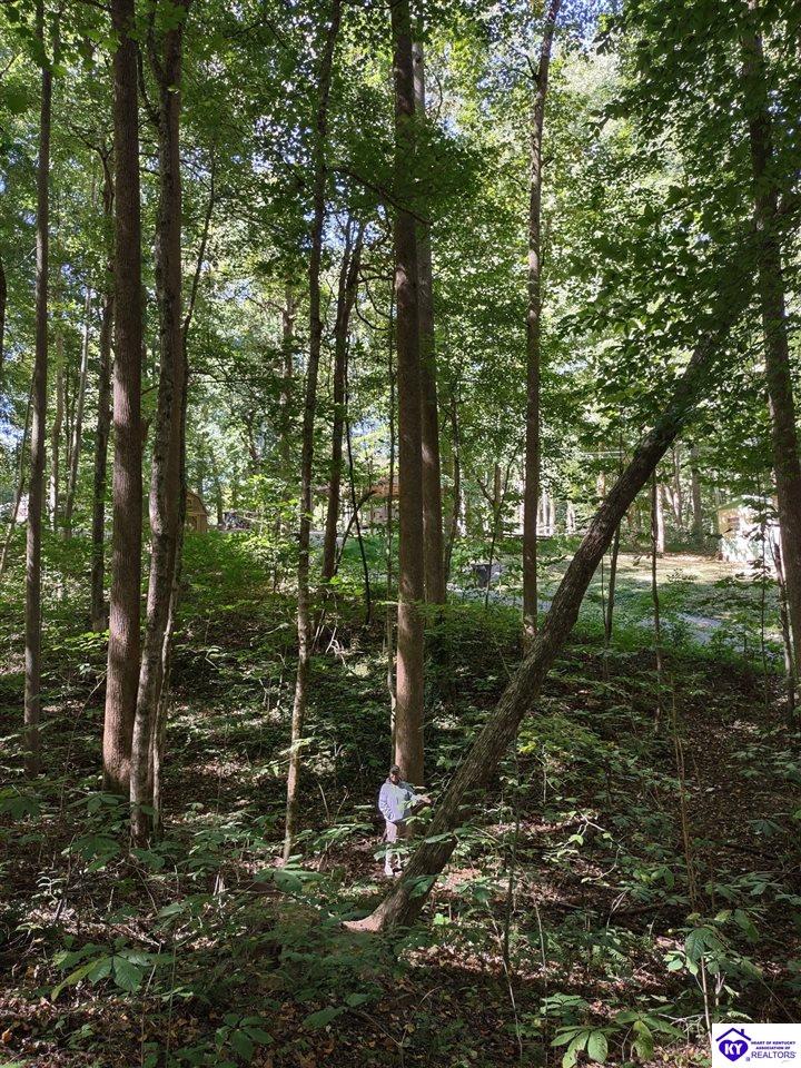 71 Bullfrog Trail