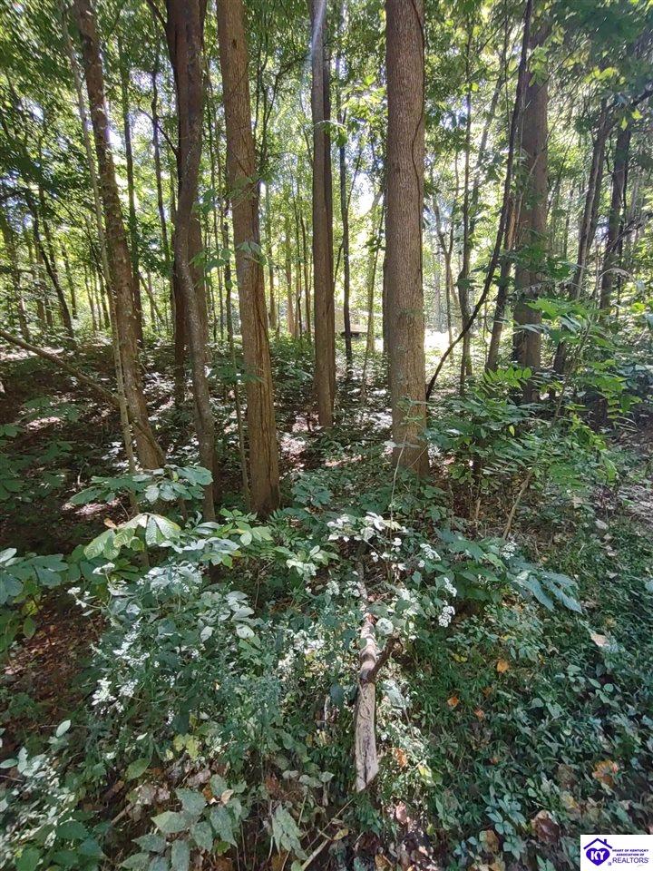 71 Bullfrog Trail Property Photo 2