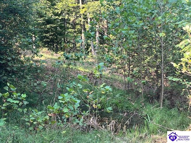0 N Highway 261 Property Photo 5