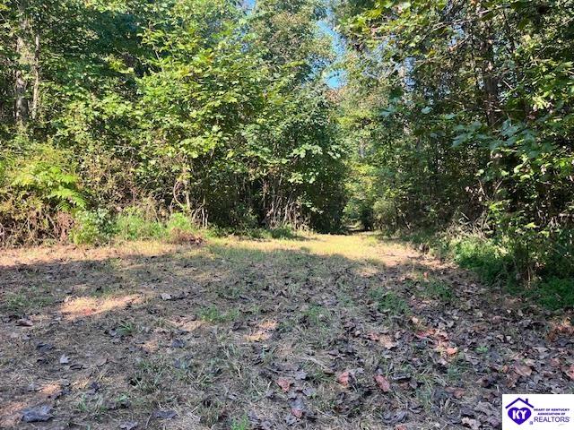0 N Highway 261 Property Photo 8