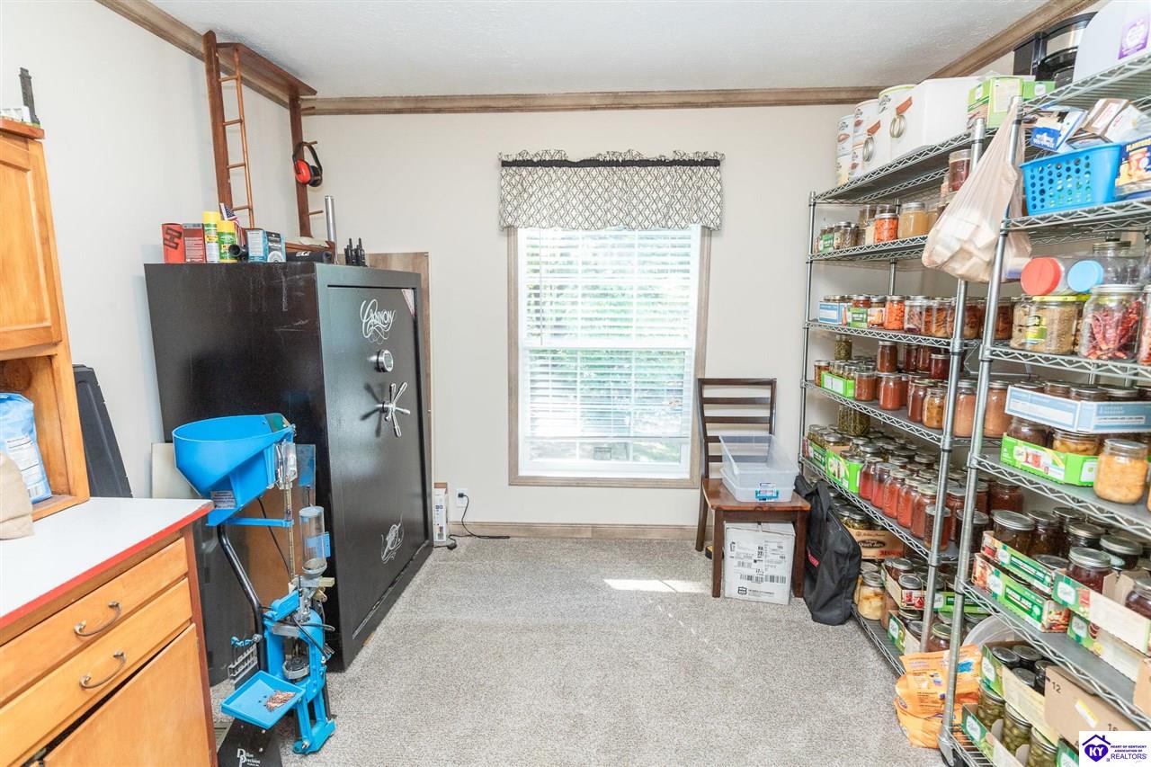 4580 Cissal Hill Road Property Photo 35
