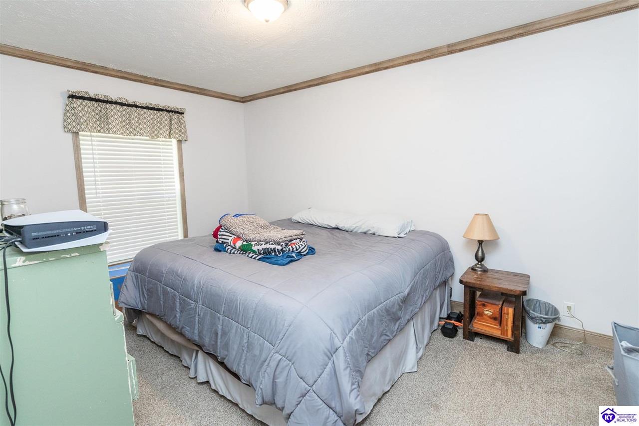 4580 Cissal Hill Road Property Photo 37