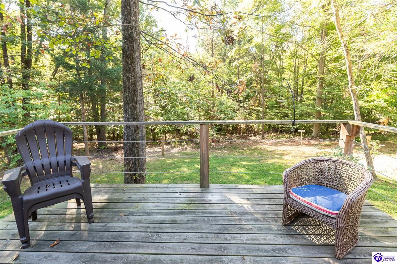 4580 Cissal Hill Road Property Photo 44