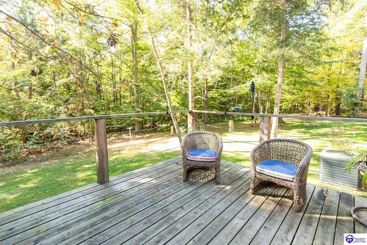 4580 Cissal Hill Road Property Photo 46