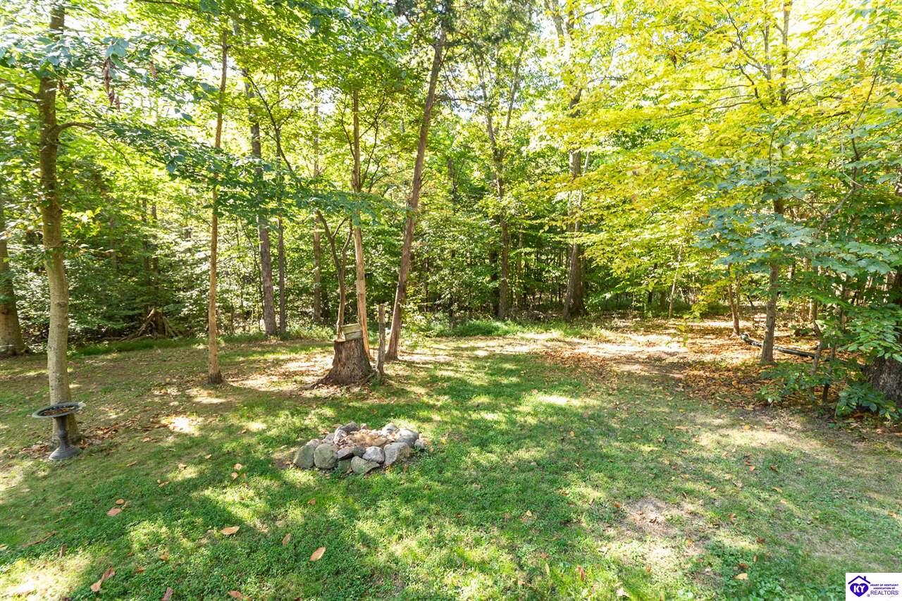 4580 Cissal Hill Road Property Photo 49