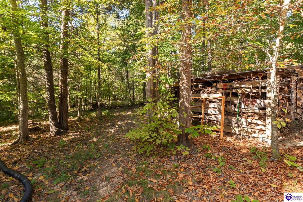 4580 Cissal Hill Road Property Photo 50