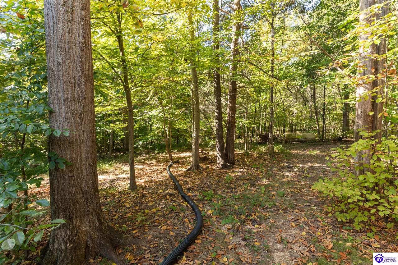 4580 Cissal Hill Road Property Photo 51