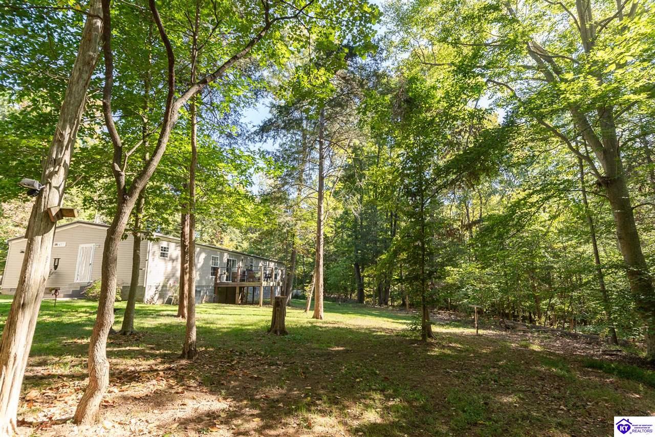 4580 Cissal Hill Road Property Photo 52