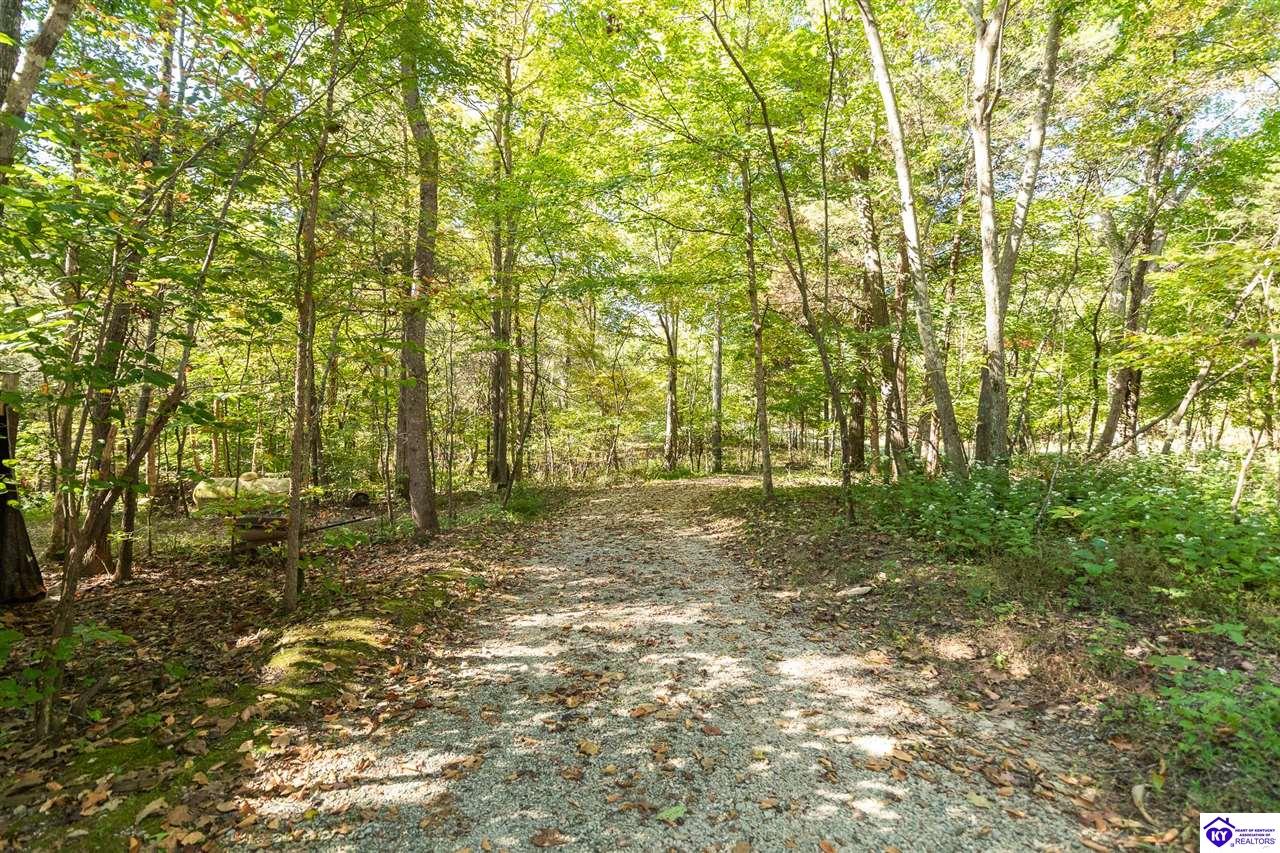 4580 Cissal Hill Road Property Photo 64