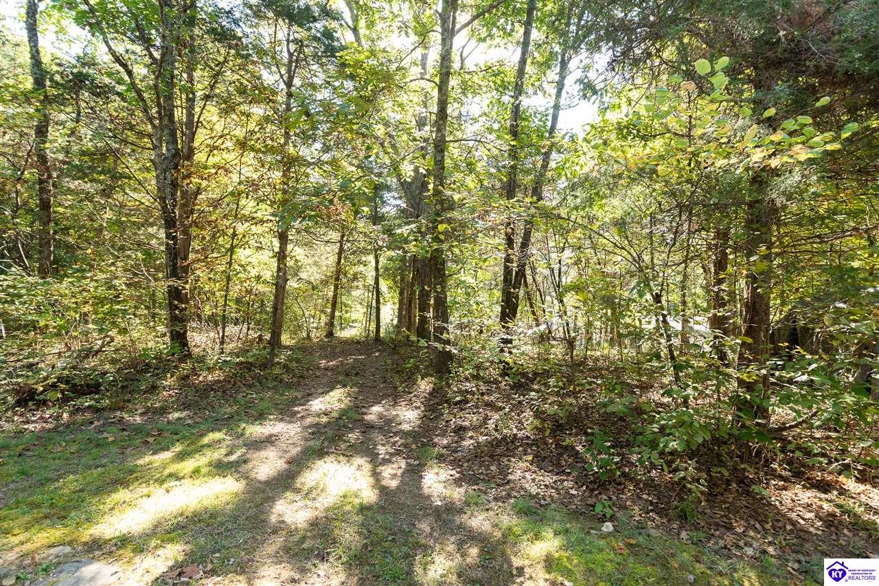 4580 Cissal Hill Road Property Photo 69