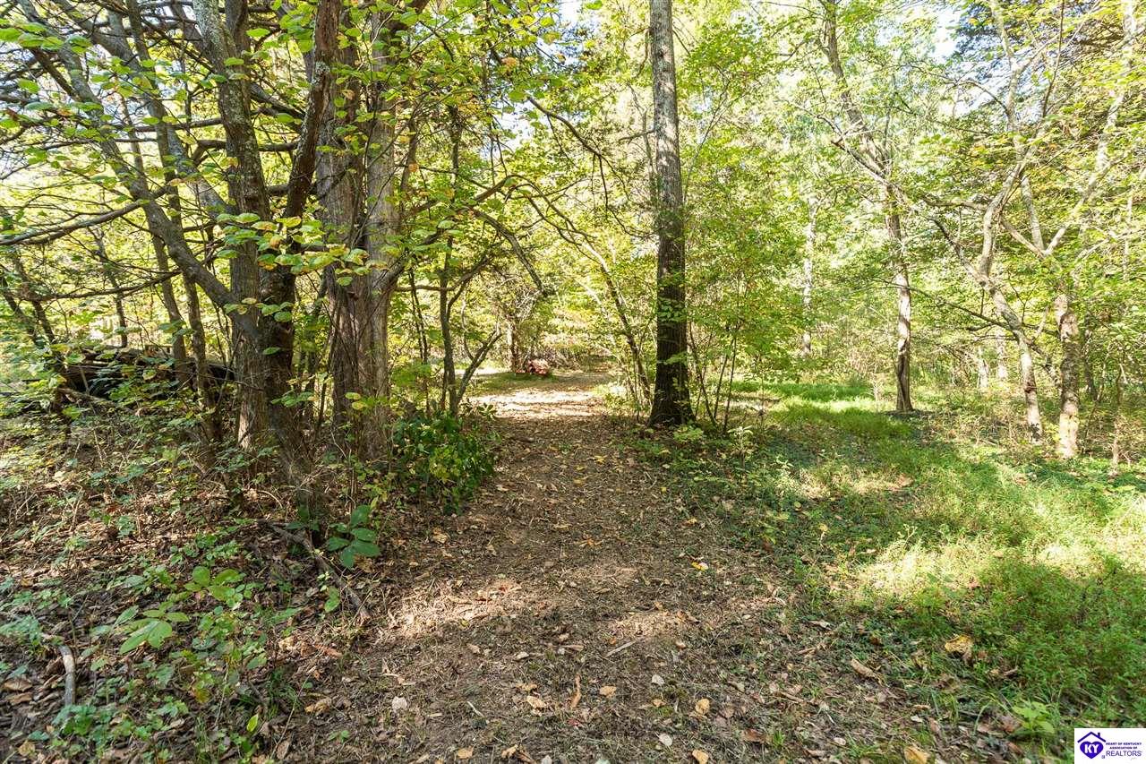 4580 Cissal Hill Road Property Photo 70