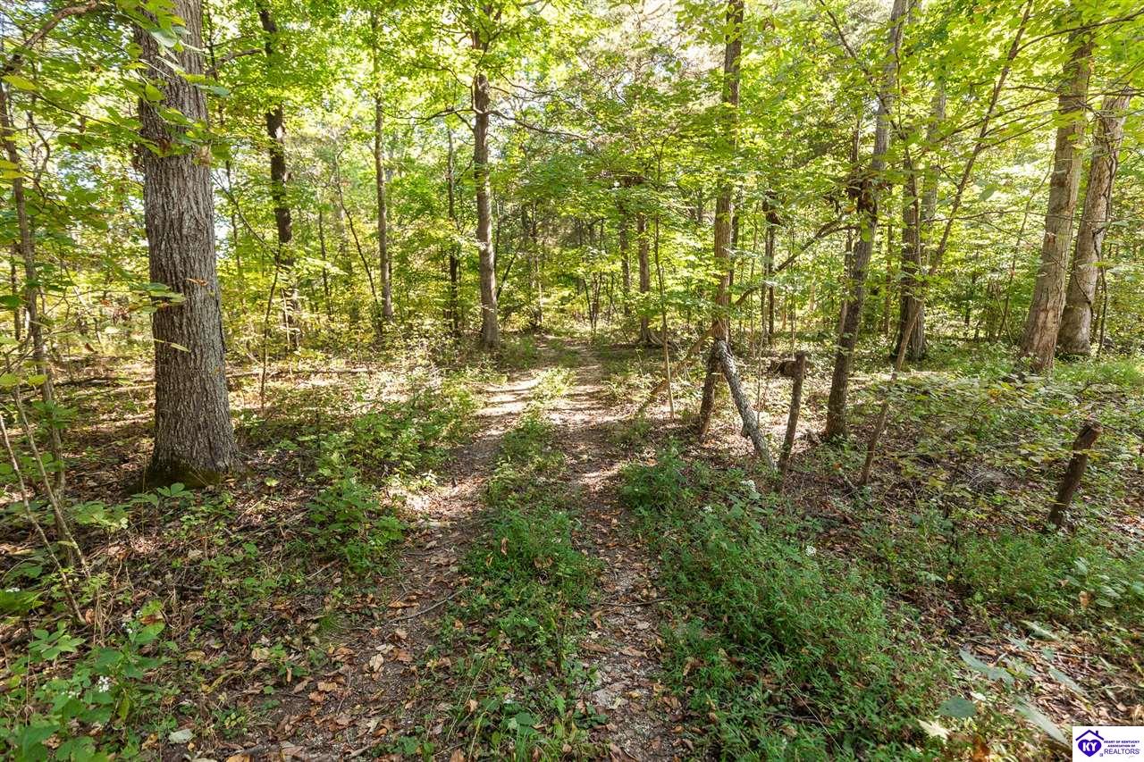 4580 Cissal Hill Road Property Photo 71