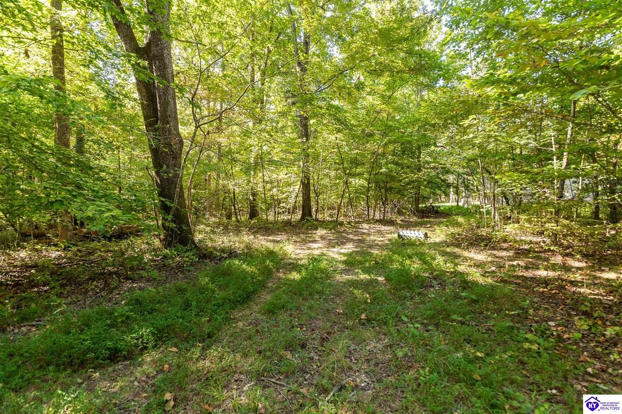 4580 Cissal Hill Road Property Photo 72