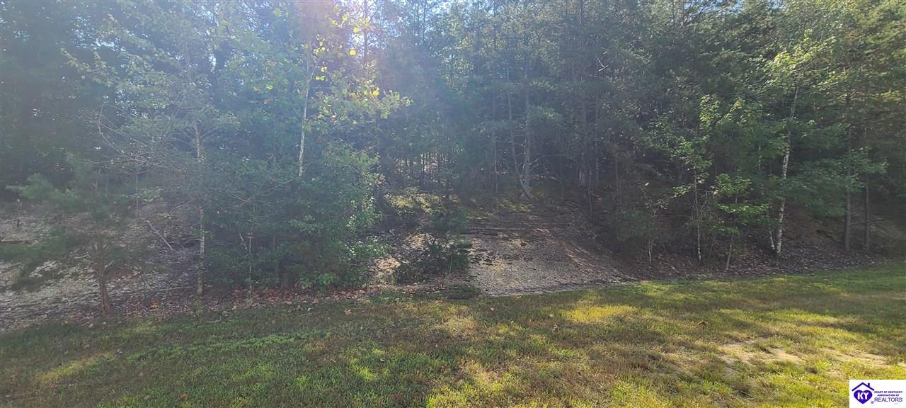 12497 Boston Road Property Photo 4