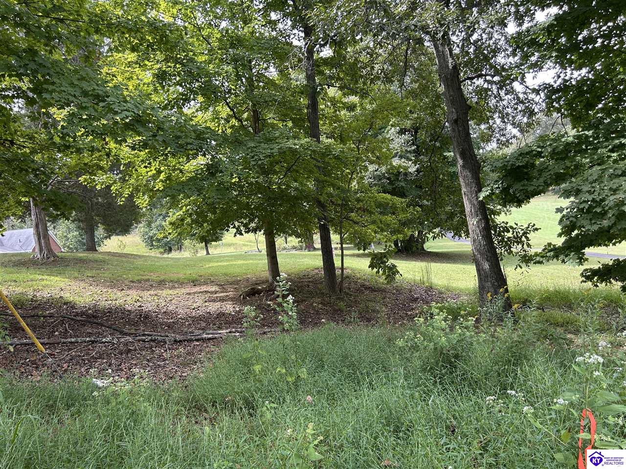 580 Hillcrest Drive Property Photo 92