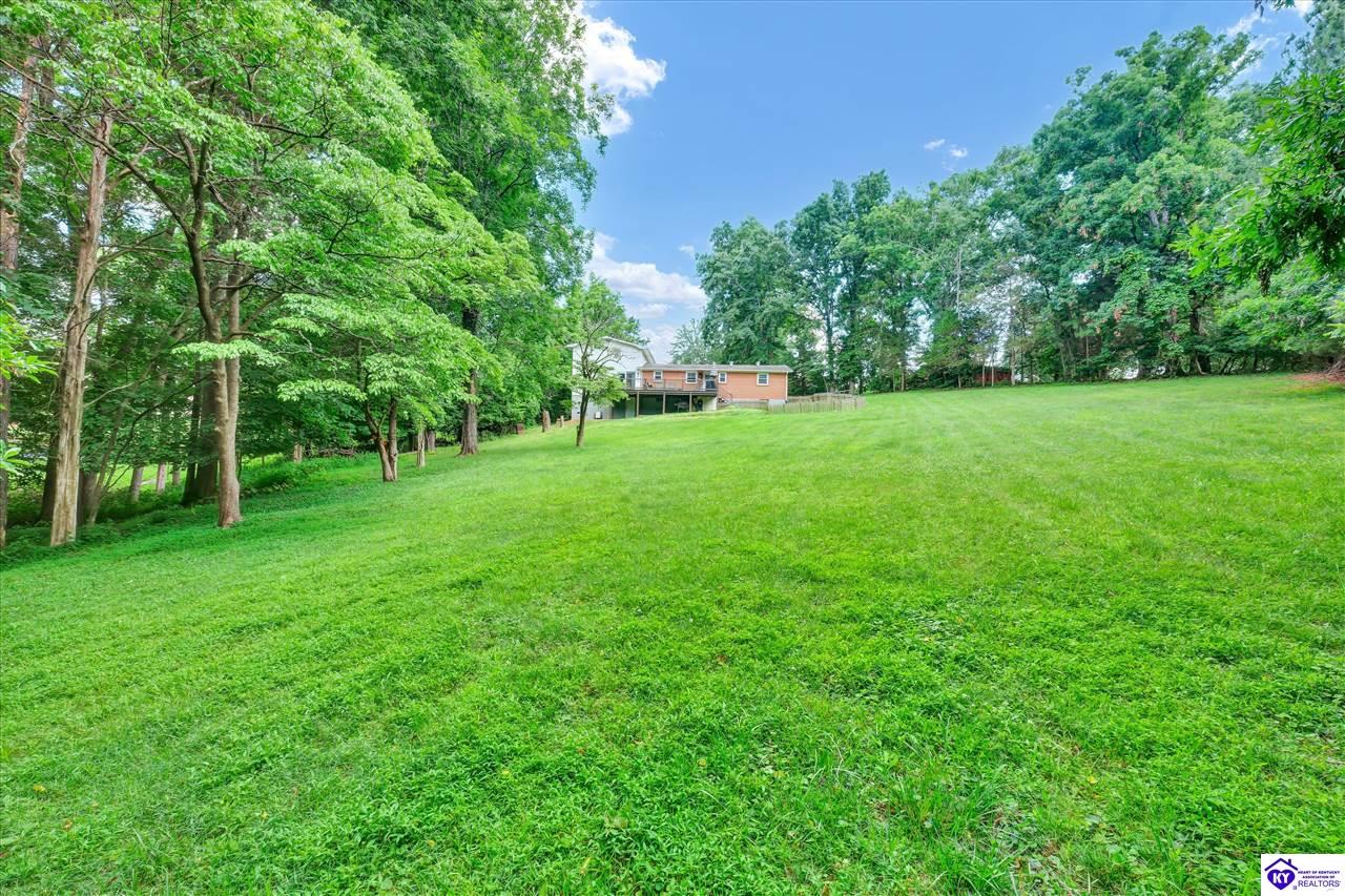 319 Park Avenue Property Photo 5