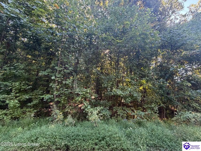 Lot 26 Rams Run Rd Property Photo 7