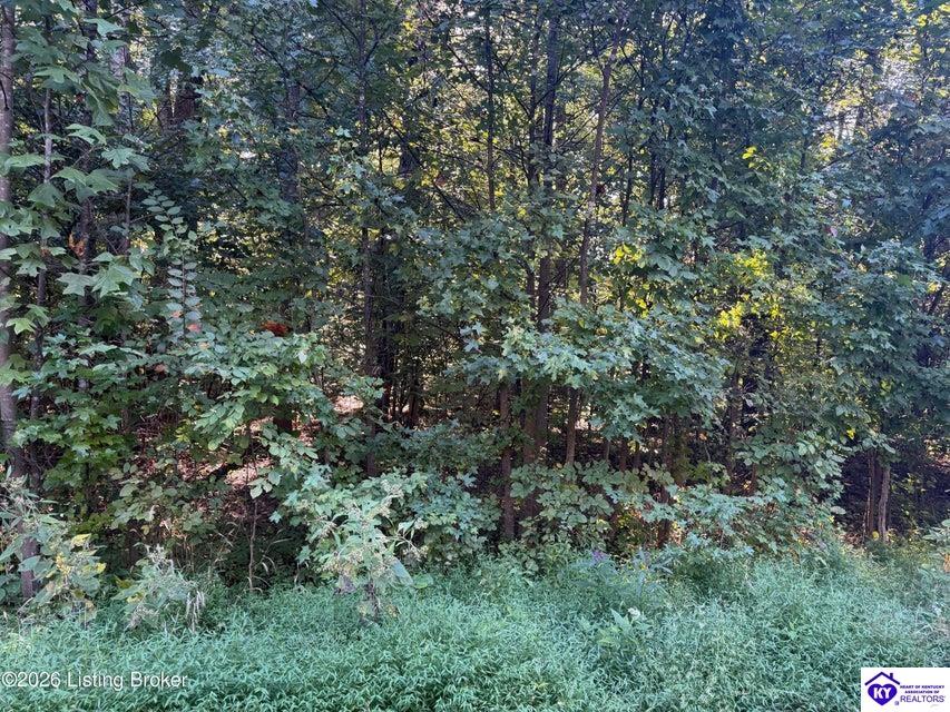 Lot 26 Rams Run Rd Property Photo 8