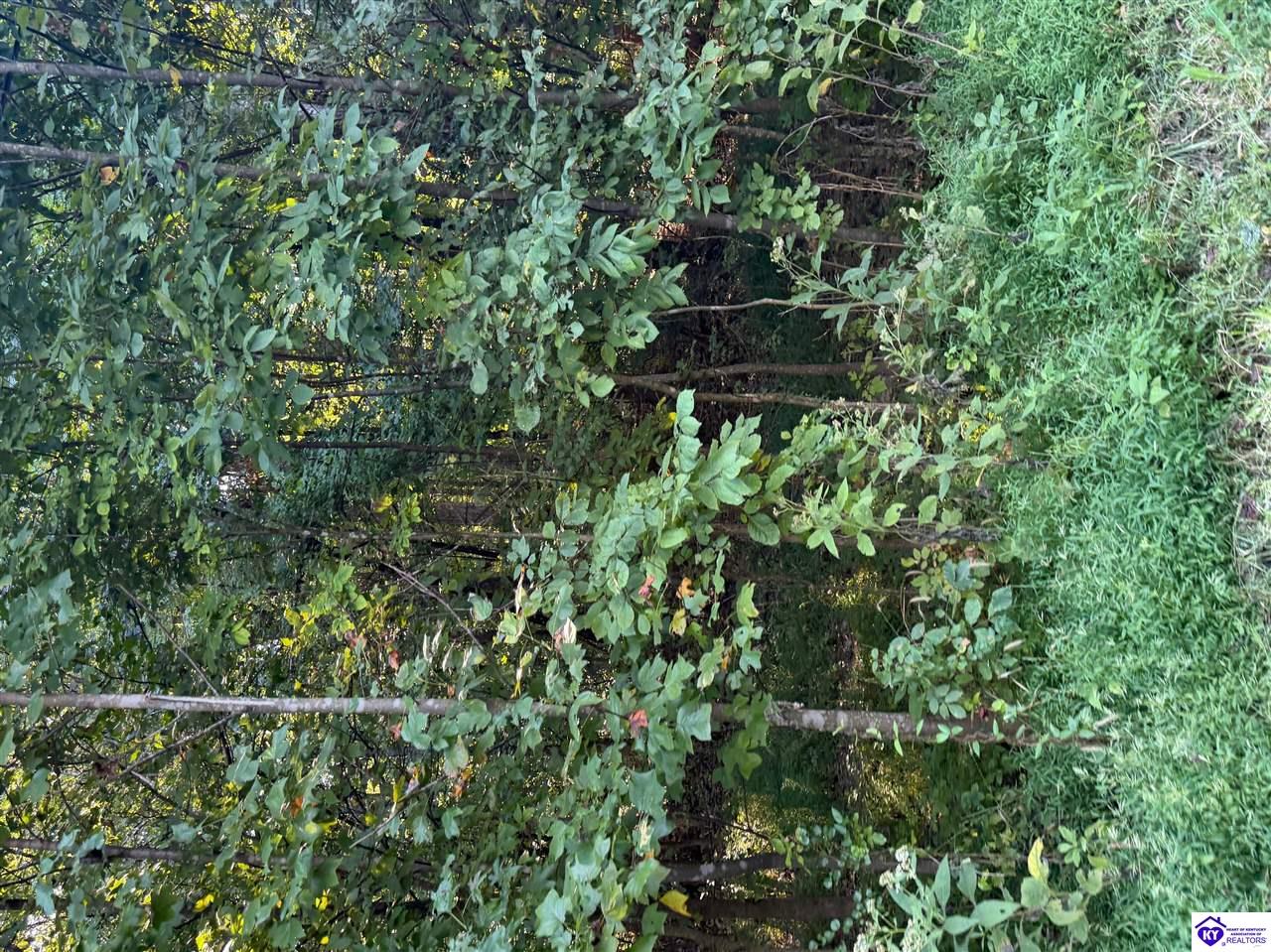 Lot 24 Rams Run Rd Property Photo 4