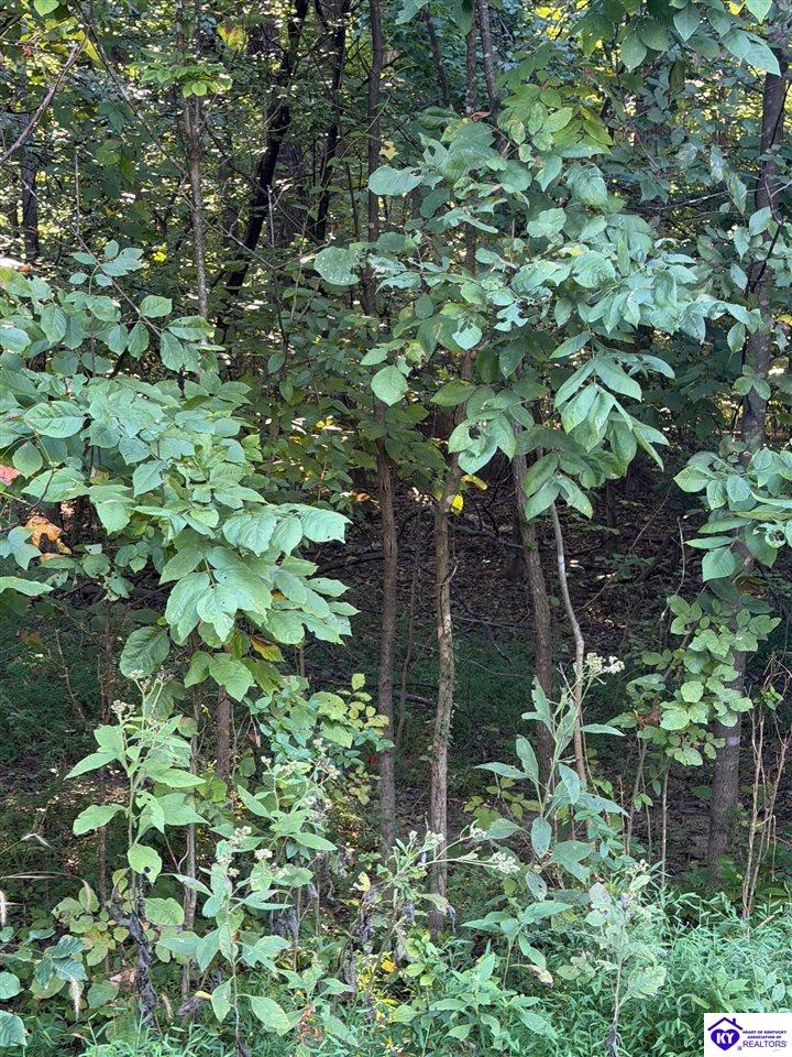 Lot 24 Rams Run Rd Property Photo 6