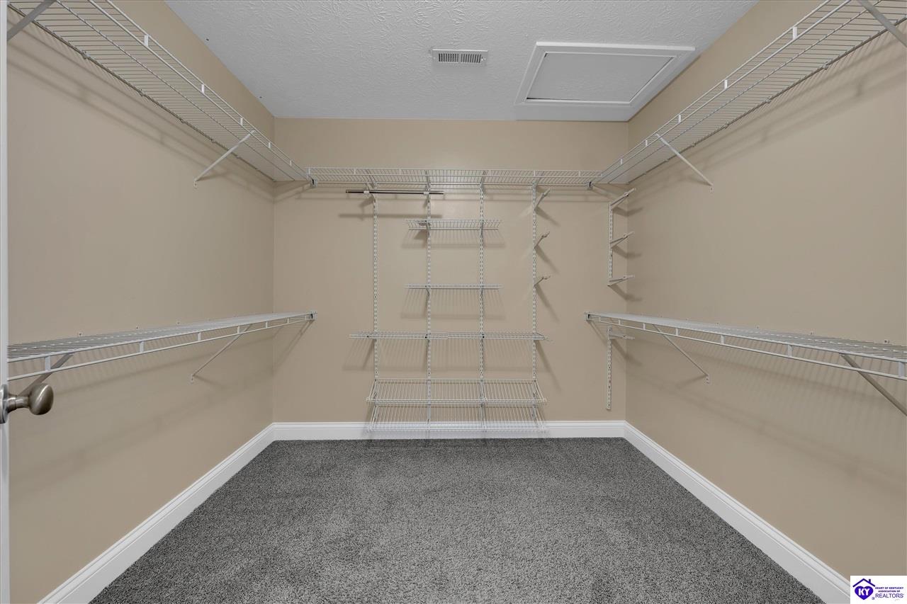 500 Concord Grape Way Property Photo 29